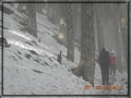 2011-03-08 08-10-51-黑森林踏雪行.JPG
